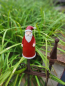 Preview: Zaunhocker Weihnachtsmann Klaus, Polyresin, frostfest