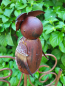 Preview: Metall Zaunhocker Eule Wanky