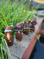 Preview: Metall Zaunhocker Wintermaus