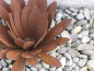 Preview: Blüte Chrysantheme aus Edelrost