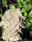 Preview: Blumenkind Efeu aus Resin