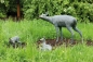 Preview: Bronzeskulpturen Rehwild Preview: Bronzeskulpturen Rehwild
