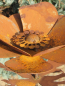 Preview: Edelrost Anemone mit Kugel