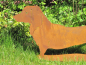 Preview: Edelrost Gartenfigur Dackel Waldi