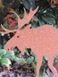 Preview: Edelrost Elch Rudolph 16 cm bis 45 cm