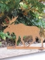 Preview: Edelrost Elch Rudolph 16 cm bis 45 cm