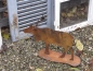 Preview: Edelrost Elch mit 3D Geweih 30 cm