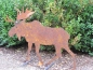 Preview: Edelrost Elch Rudolph 16 cm bis 45 cm