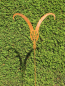 Preview: Edelrost Gartenstecker Capricorn