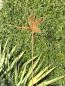 Preview: Edelrost Gartenstecker Libelle