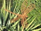 Preview: Edelrost Gartenstecker Libelle