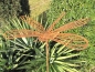 Preview: Edelrost Gartenstecker Libelle