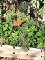 Preview: Edelrost Topfstecker Ginkgo