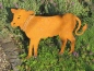 Preview: Edelrost Kalb auf Querstange