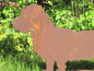 Preview: Edelrost Gartenfigur Rauhhaardackel Bastian