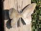 Preview: Edelstahl Schmetterling zum Hängen, 22 cm