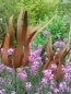 Preview: Gartenstecker Feuerblume Fiamma, klein