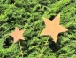 Preview: Gartenstecker Stern aus Edelrost, groß