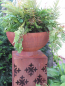 Preview: Halbkugel Schale zum Bepflanzen 25 cm bis 60 cm