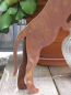 Preview: Edelrost Katze neugierig