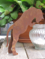 Preview: Edelrost Katze neugierig