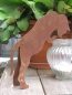 Preview: Edelrost Katze neugierig