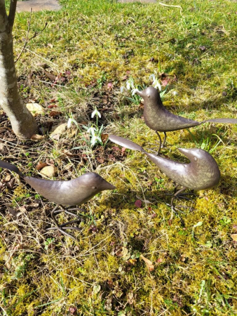 Preview: 3er Set Vögel, dunkelbraun lackiert