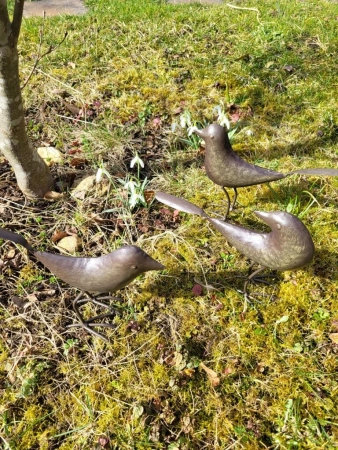 3er Set Vögel, dunkelbraun lackiert