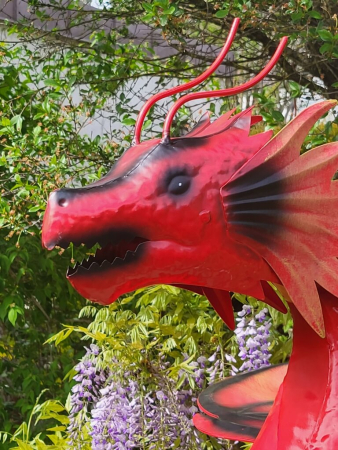 XXL Drache rot, wippend