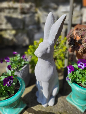 Zement Hase Hoppel, Blick nach vorne