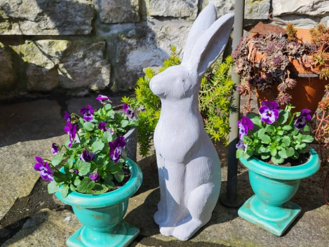 Zement Hase Hoppel, Blick nach vorne