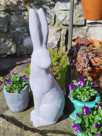 Zement Hase Krümel, Blick zur Seite