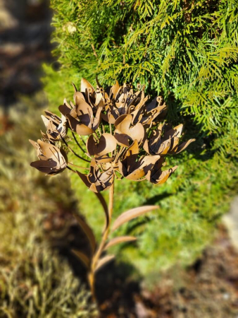 Preview: Edelrostoptik Blume Belle