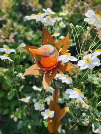 Edelrost Blume Nesra, Zwiebelblüte, Orange