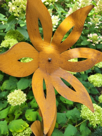 Edelrost Blume Nesra, Zwiebelblüte, Verde