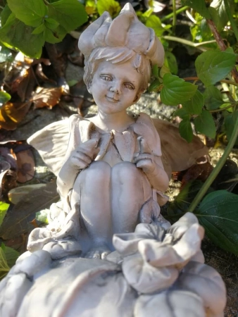 Blumenfee Heilkraut