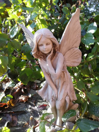 Blumenfee Schwertlilie