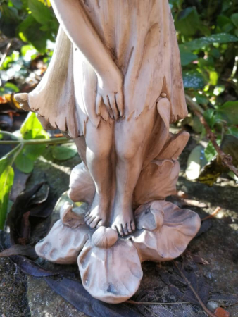 Blumenfee Schwertlilie