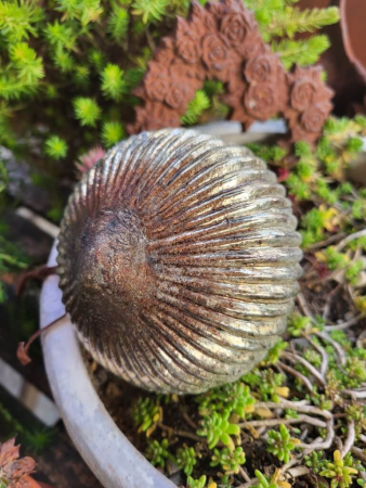 Preview: Christbaumkugel Athrios Rillen, groß, braun-altgold, glänzend