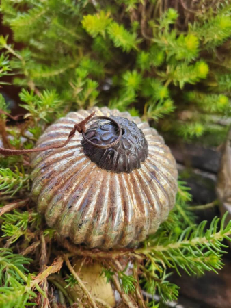 Preview: Christbaumkugel Athrios Rillen, klein, braun-altgold, glänzend