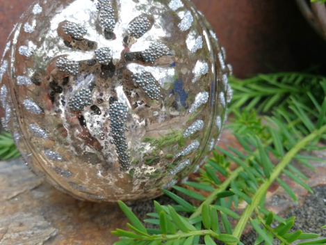 Preview: Christbaumkugel Cosmata Blumenornament, beige