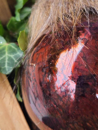 Preview: Weihnachtskugel Hirsch mit Fell, rotbraun
