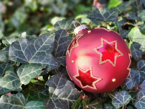 Christbaumkugel Sterne, rot