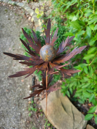 Edelrost Distel am Stab