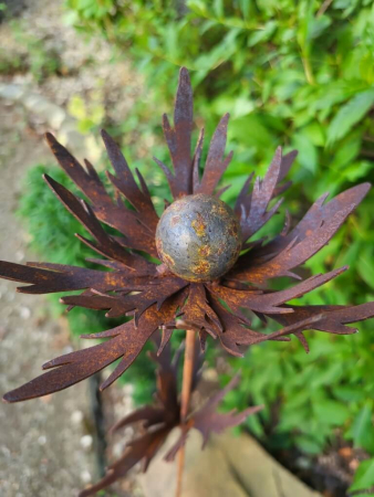 Edelrost Distel am Stab