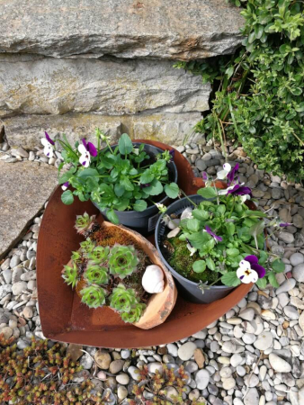 Preview: Edelrost Pflanzschale Herz Sissi