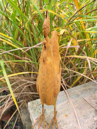 Preview: Edelrost 3D Hahn