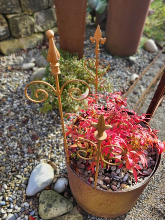 Preview: Edelrost 3er Set Rankstäbe für Blumenkübel, 60 cm