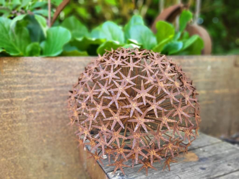 Preview: Edelrost Blume Allium, filigran