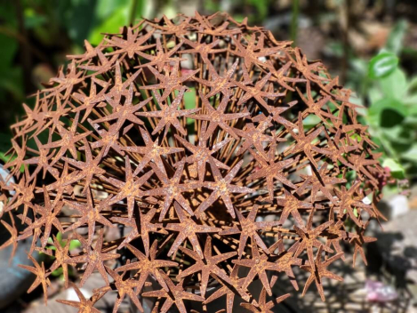 Preview: Edelrost Blume Allium, filigran